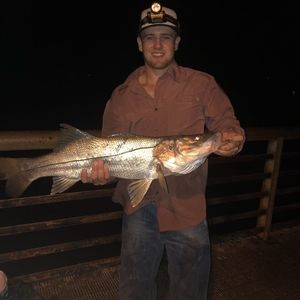 Meet your Posher, Wyatt